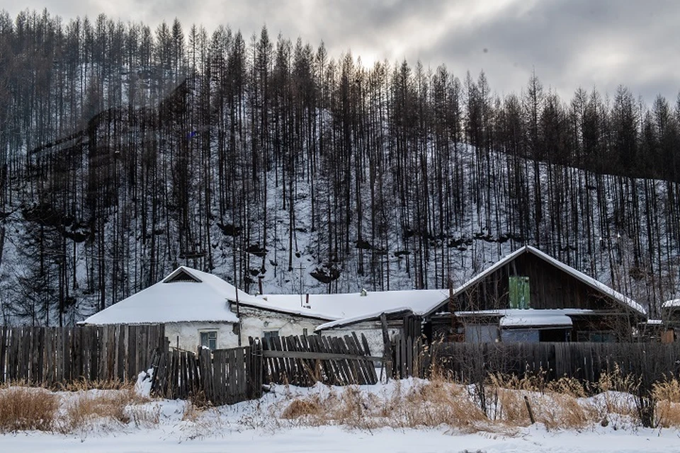 Холодную погоду без осадков прогнозируют Хабаровскому краю 27 января