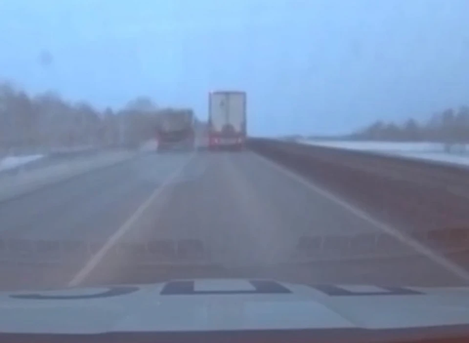 Фото: стоп-кадр видео пресс-службы УМВД России по Омской области.