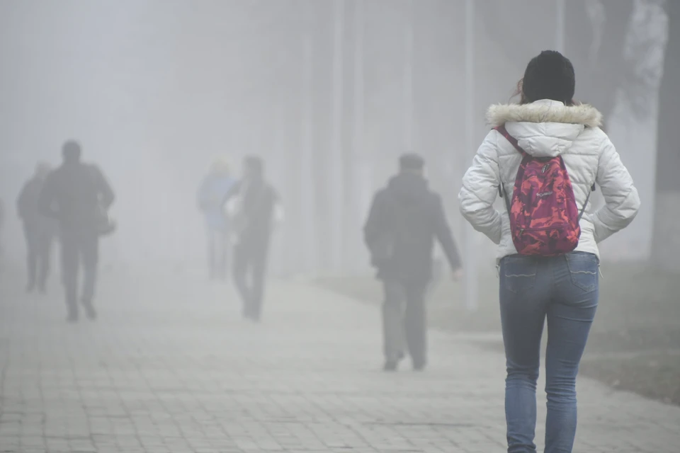 Ночью и утром 27 января местами по Воронежской области возможен туман.