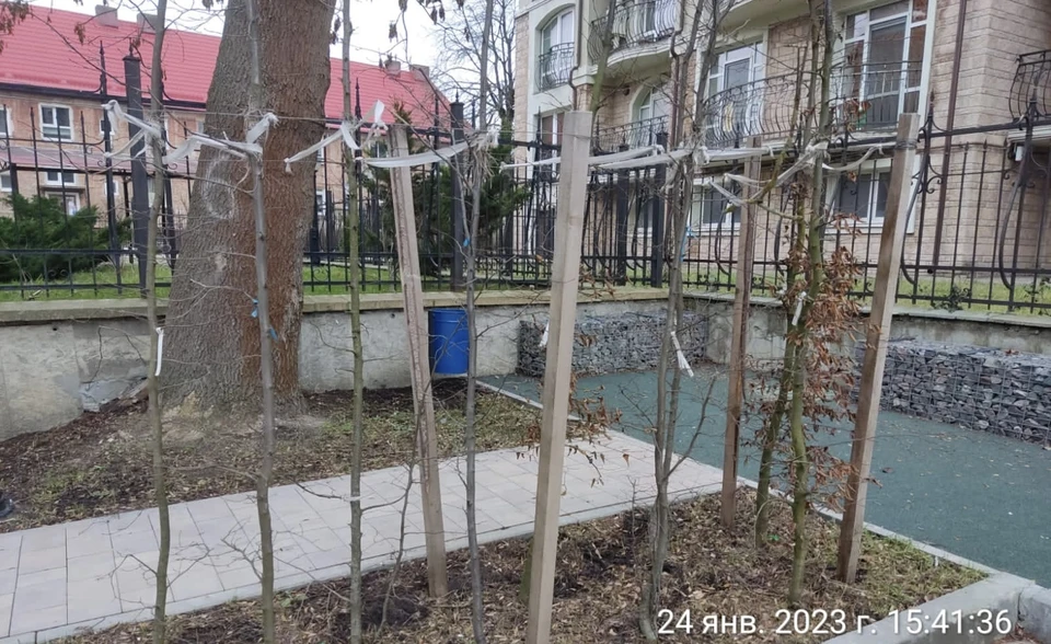 Фото: Минприроды региона.
