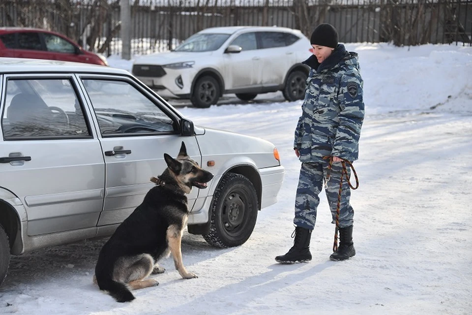 Продолжаются поиски еще двоих мальчиков. Тематическое фото