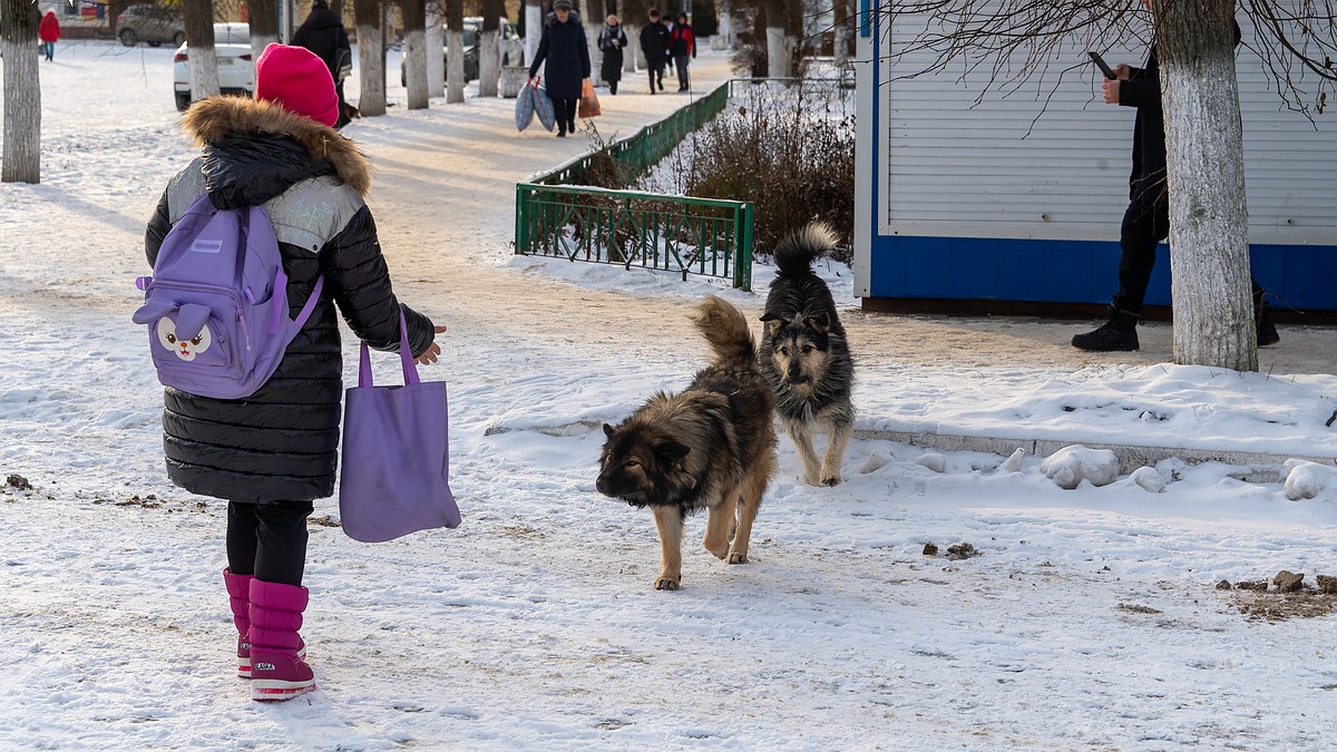 Во Владивостоке ищут 11-летнюю девочку, ушедшую из дома - KP.RU