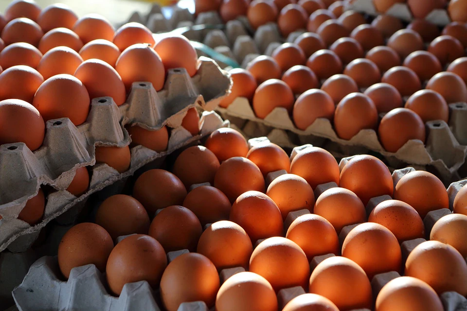 Контрабанда яиц в США из Мексики скоро оставит наркокартели "прозябать в бедности"