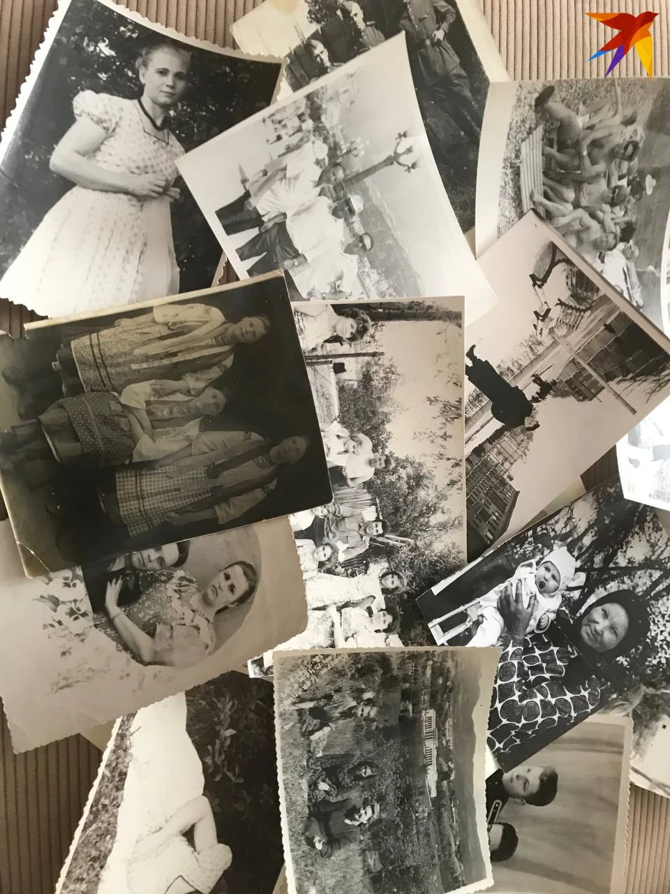 Генеалогическое древо, а не только фотографии, хорошо бы иметь в каждой семье. Фото: архив "КП".