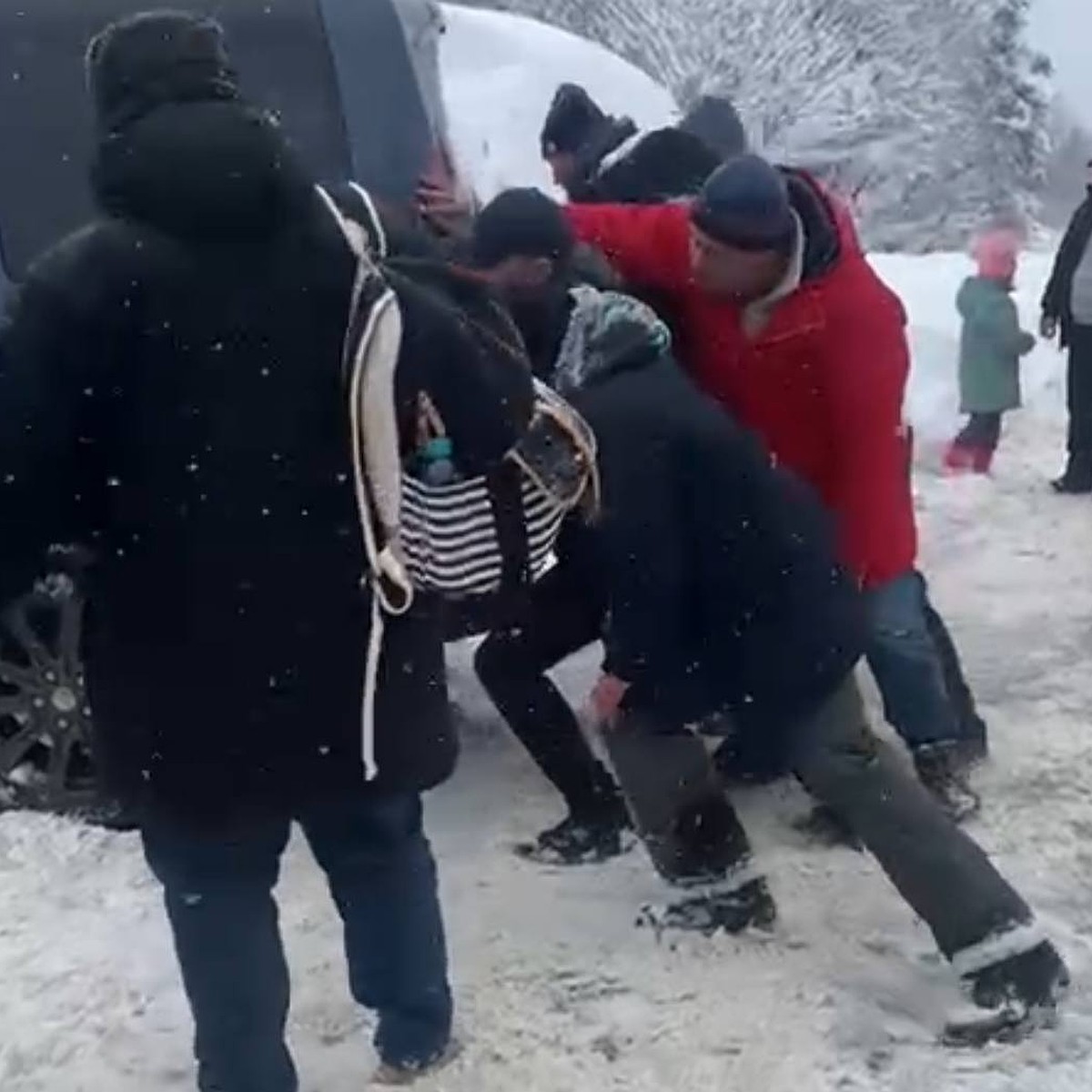 В Апшеронском районе из-за снега застряли водители - KP.RU