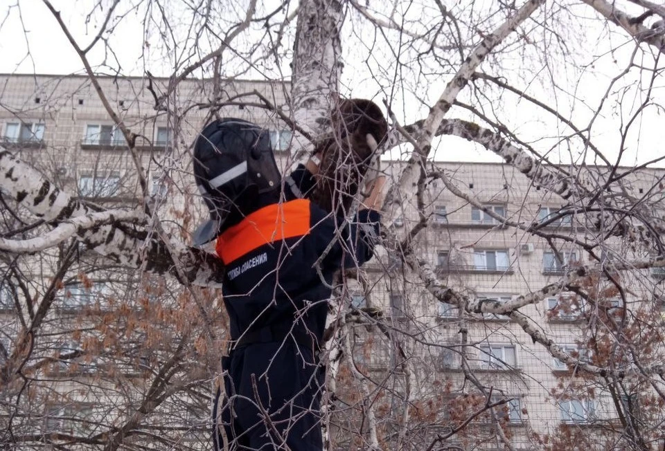 Фото: Управление гражданской защиты города.