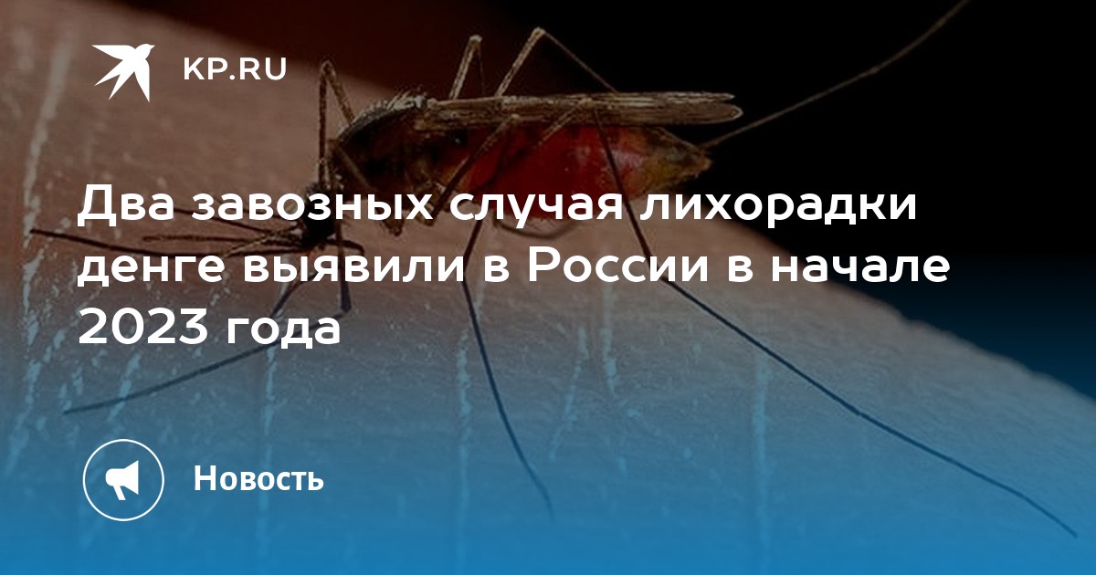 лихорадка денге 2023. лихорадка денге профилактика. лихорадка денге эпидемия дети. лихорадка денге вспышка. лихорадка денге комар.