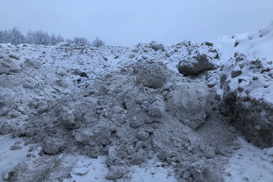 Нарушителям грозят штрафы от 40 до 120 тысяч рублей. Фото: минприроды Мурманской области