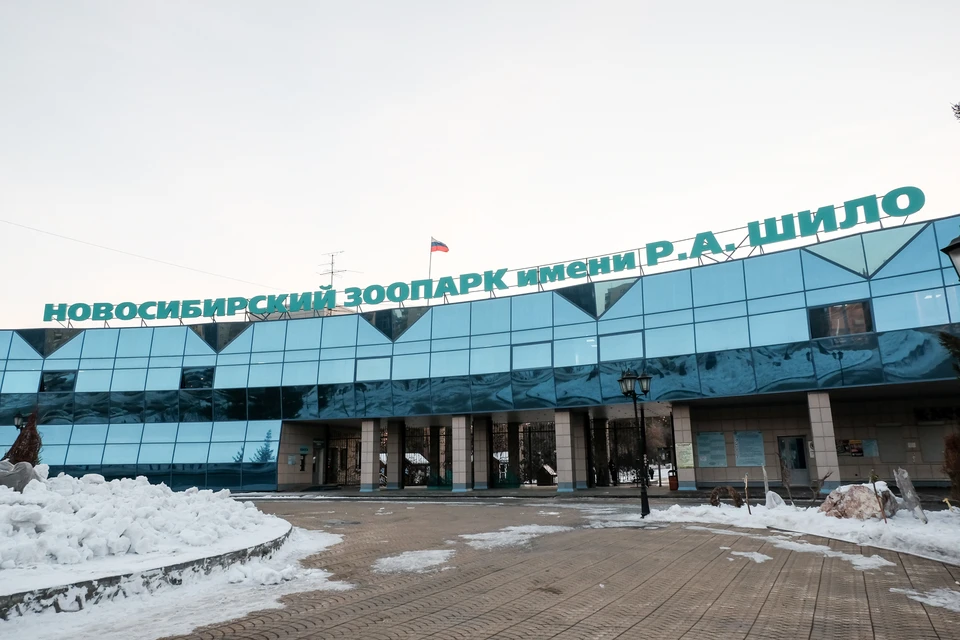 Цена билета в зоопарк весной вырастет до 500 рублей.
