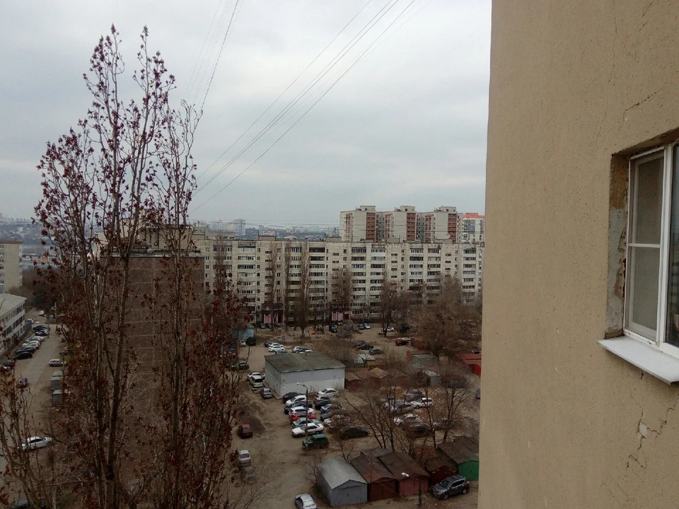 Фото Елены Федяшевой
