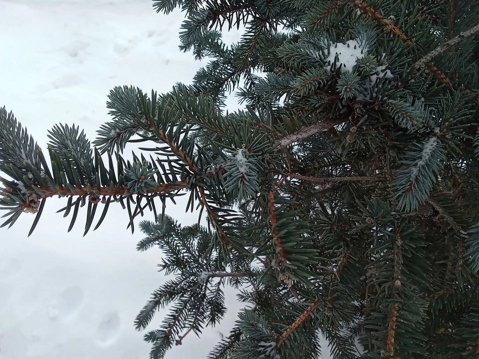 Погода на Ямале на 13 февраля