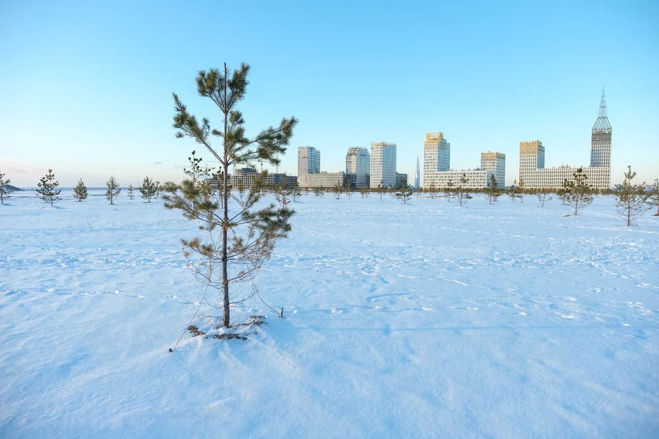 14 февраля будет теплым и солнечным.