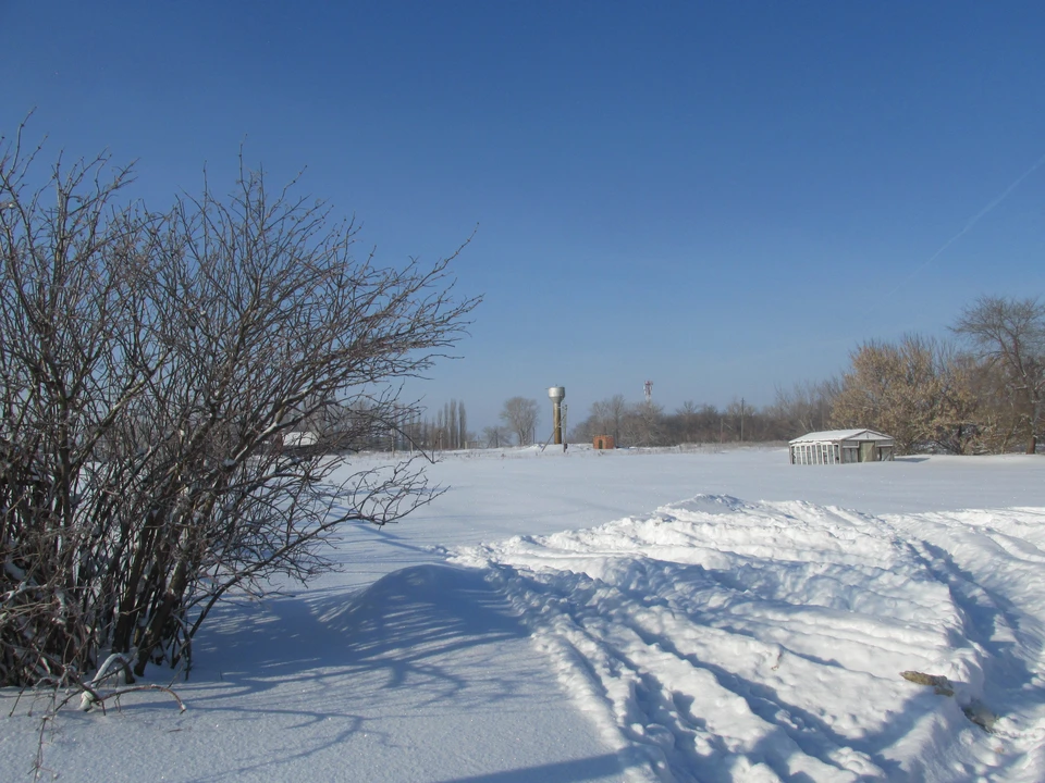Тело нашли в поле. Фото Елены Федяшевой