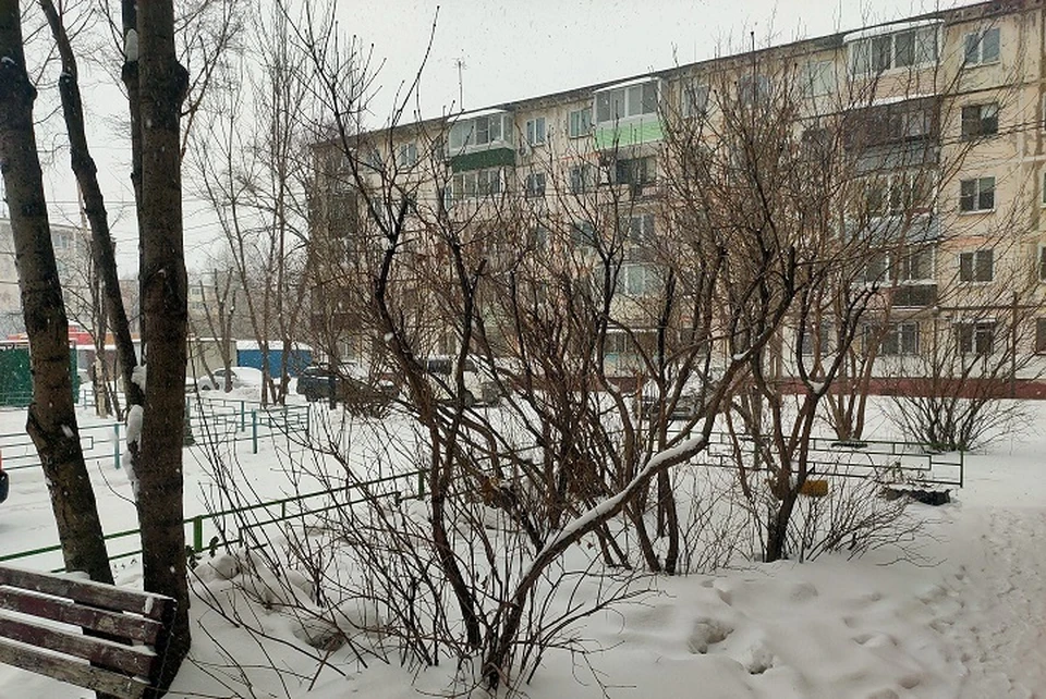 Ветрено и неуютно: 25 февраля Хабаровск ждет похолодание
