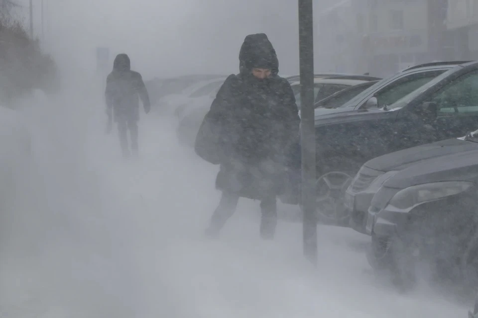 Москвичей предупреждают о сильном ветре в Москве с порывами до 17 метров в секунду