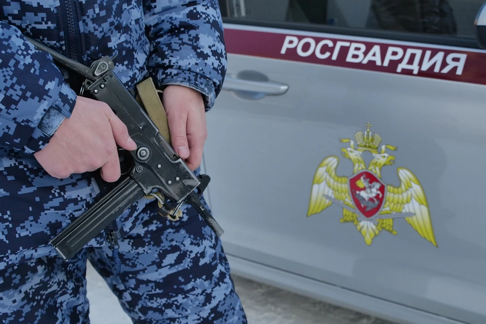 В Ульяновске 22-летняя девушка вынесла из магазина товара на 3 тысячи рублей