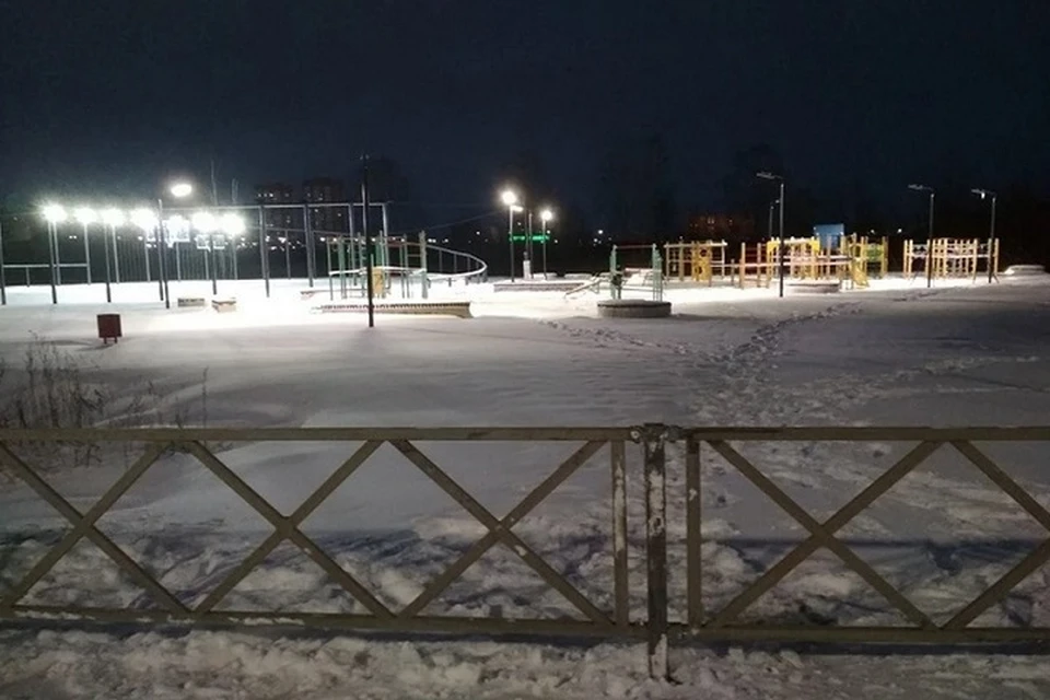 Подрядчика, работавшего на "Озерной гривке", признали недобросовестным. ФОТО: группа "Озёрная гривка ЭКОПАРК Ярославль" ВКонтакте