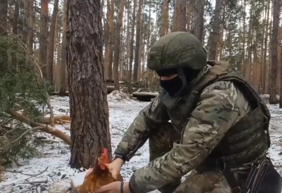 Фото: скрин с видеоролика