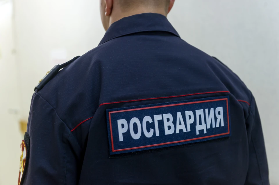 Росгвардейцы задержали подозреваемого