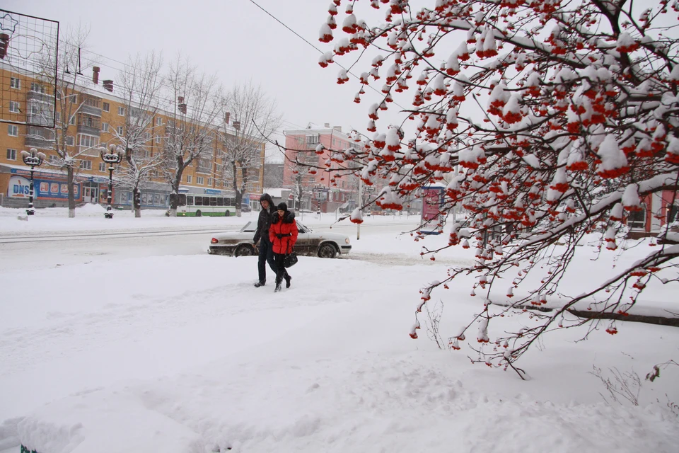 Погода в Алтайском крае 9 марта 2023