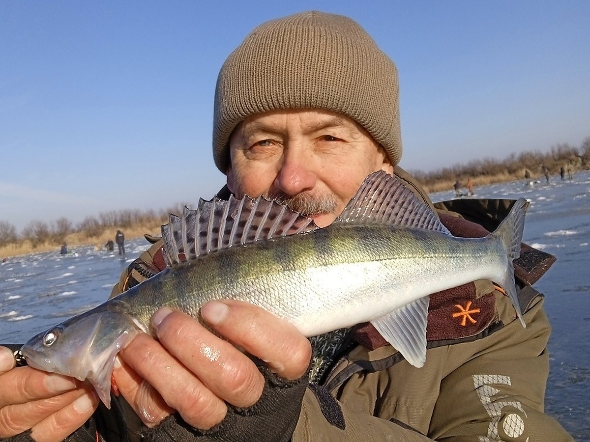 Какую рыбу и где сейчас можно поймать в Ростовской области, рассказали  любители и профессионалы - KP.RU