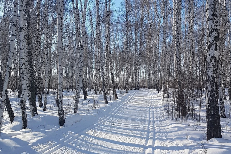 Тополиная Аллея Челябинск Фото