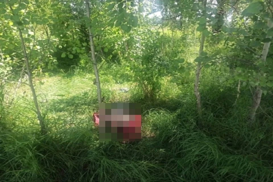 В Новосибирской области 44-летнюю женщину жестоко убили при продаже автомобиля. Фото: СК РФ НСО