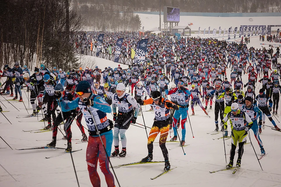 Соревнования лыжников пройдут на привычном месте - лесной лыжной трассе. Фото: Правительство Мурманской области