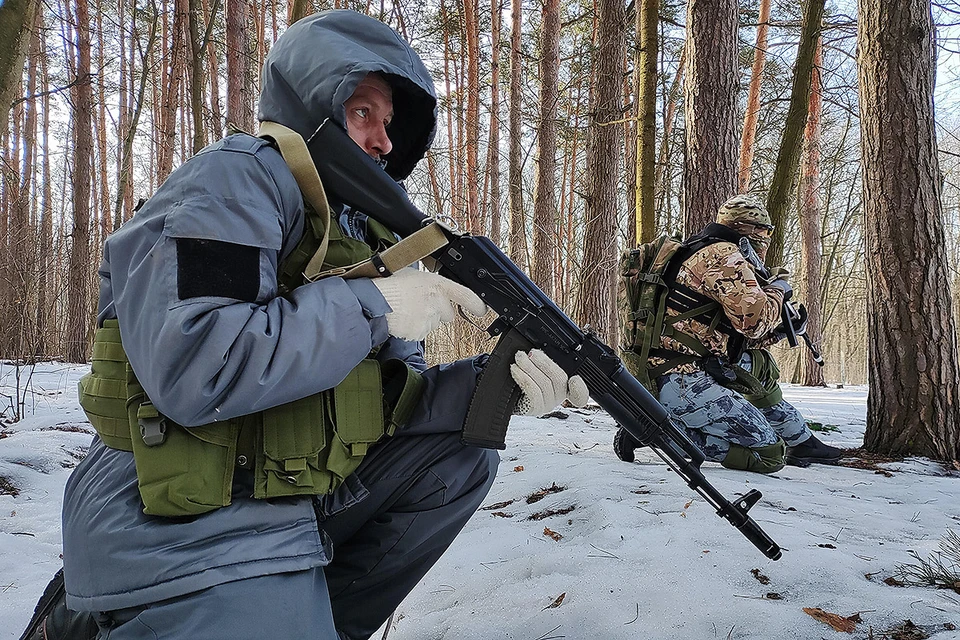 Добровольная народная дружина - дружинники скорее в древнерусском смысле, чем в советском.