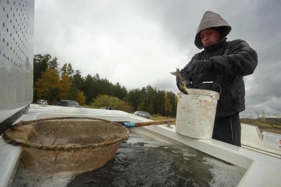 Рыболовство является одним из ключевых направлений работы на Сахалине и Курилах.