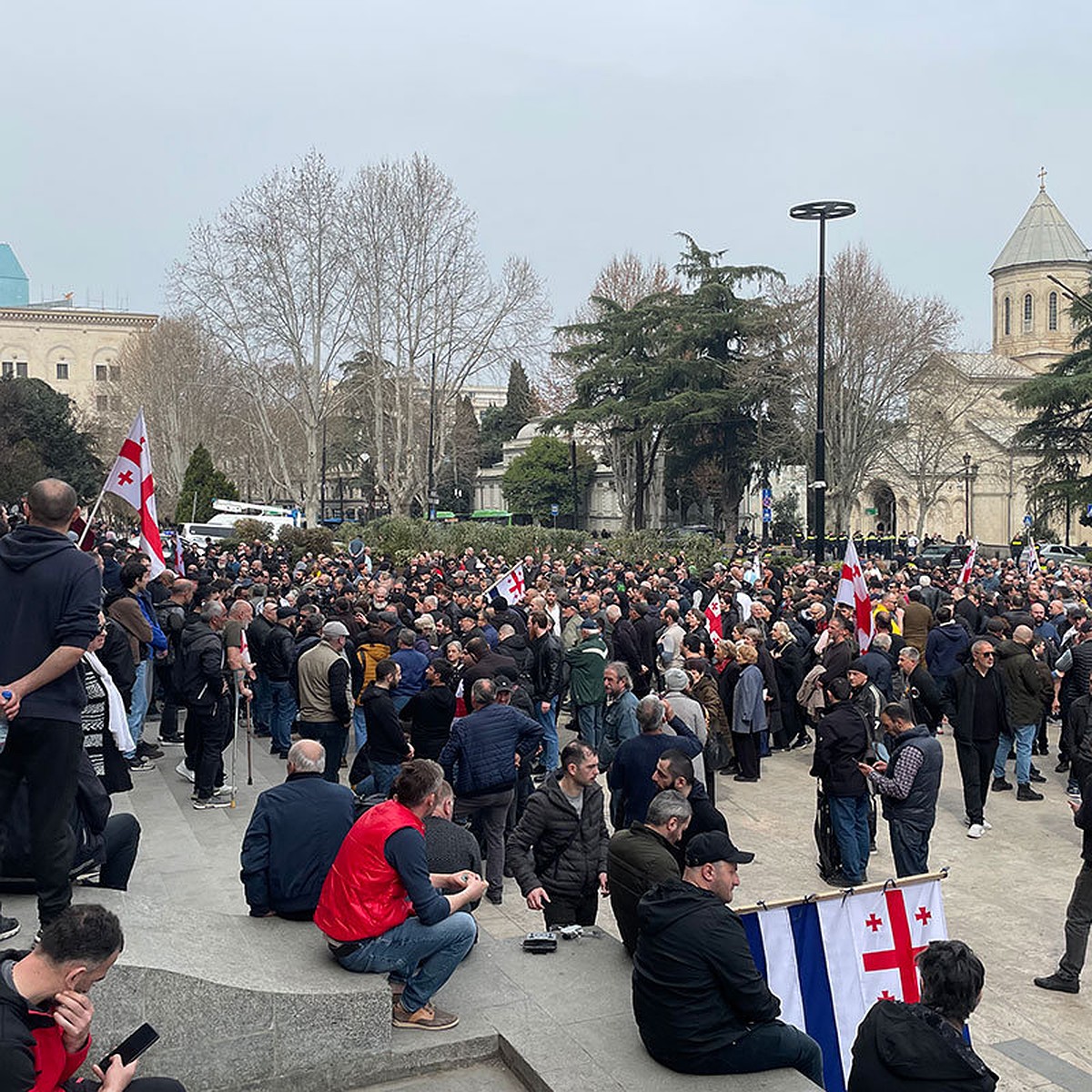 Грузия восстала против Европы: протестующие вышли на анти-майдан и сожгли  флаг ЕС - KP.RU