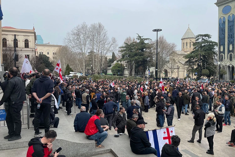 Грузия восстала против Европы: протестующие вышли на анти-майдан и сожгли флаг ЕС