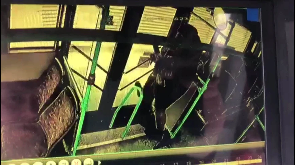 В Красноярске пассажирка автобуса разбила стекло двери и распылила перцовый баллончик. Фото: скриншот из видео дептранса