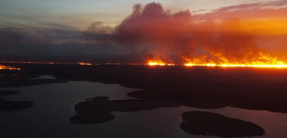 В Астраханском биосферном заповеднике распространяется тростниковый пожар