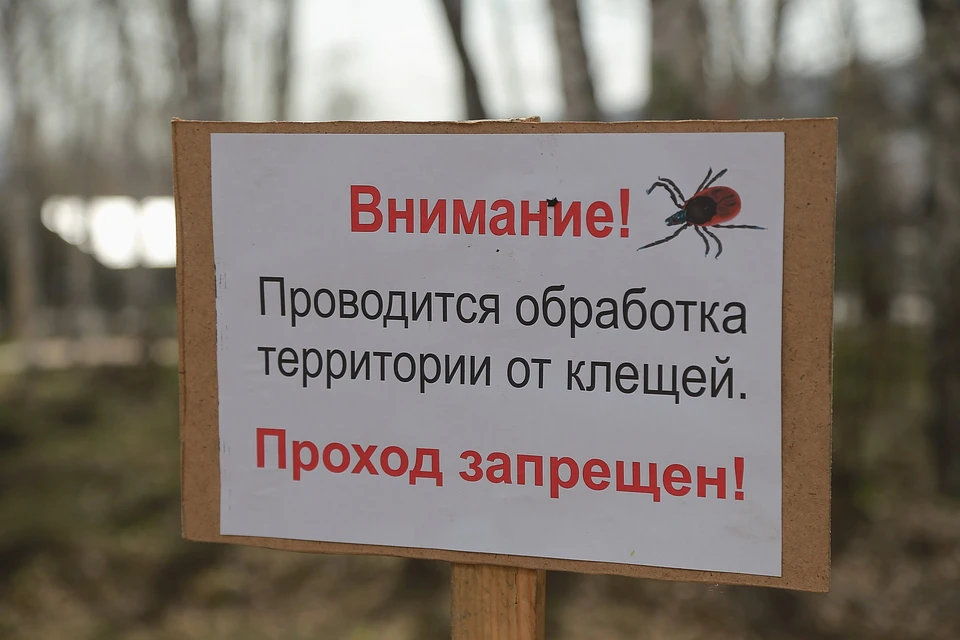 В Красноярске определили участки обработки от клещей