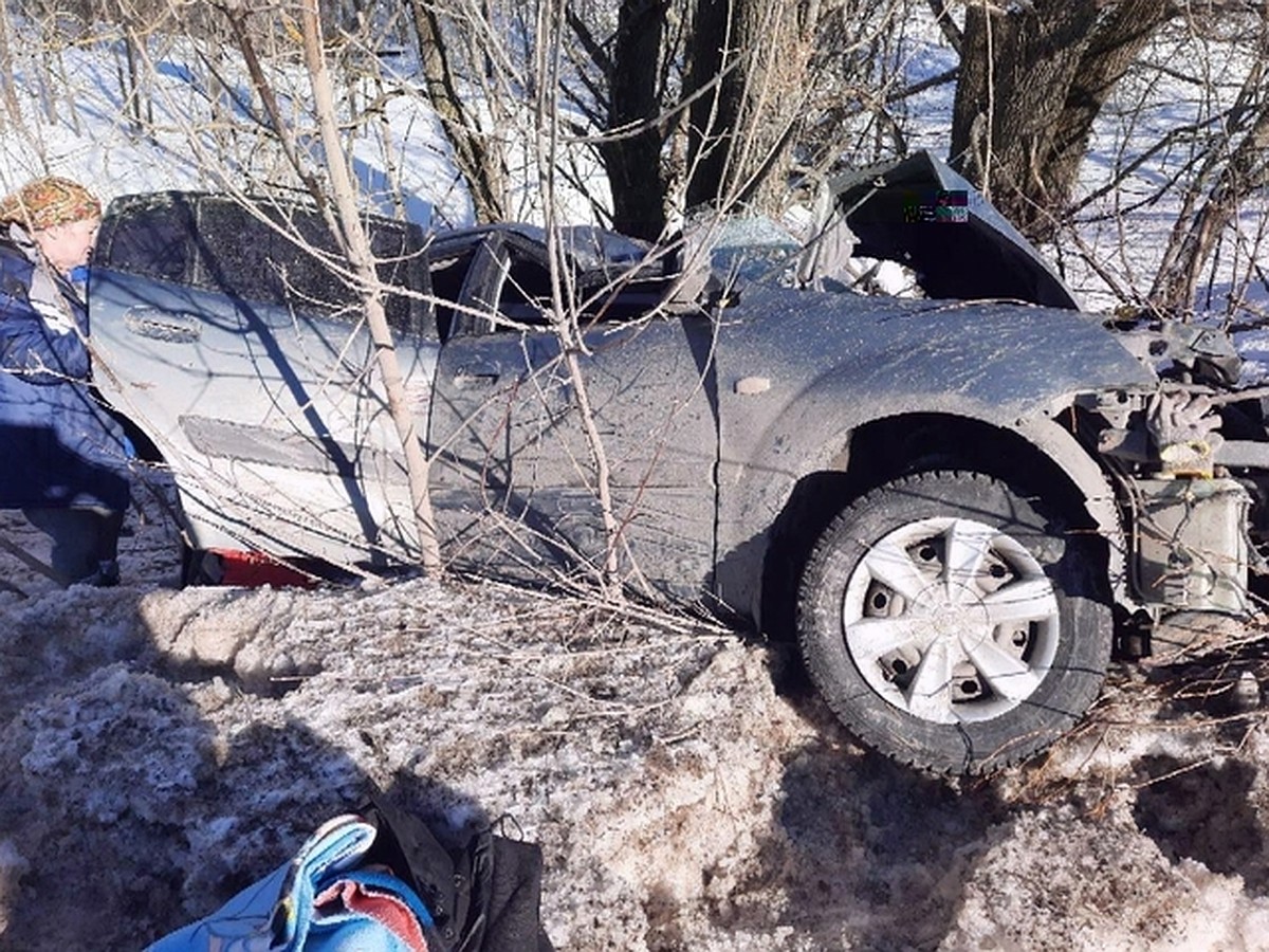 В Моргаушском районе Чувашии автомобиль вылетел с дороги в кювет, один  человек погиб - KP.RU