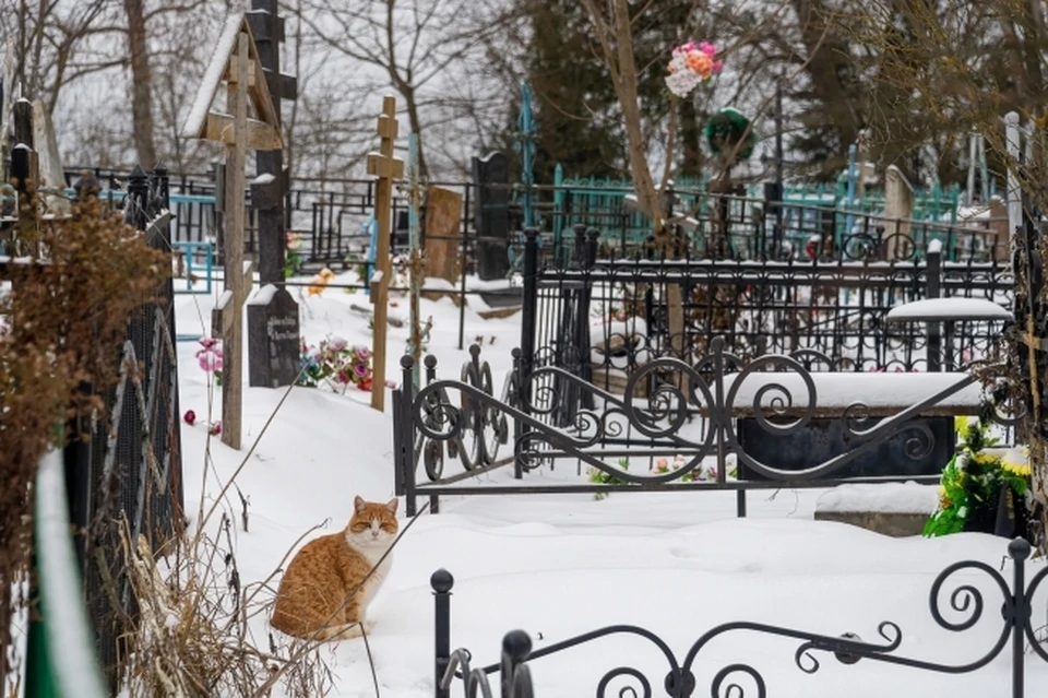 Нижегородское кладбище «Сортировочное» благоустроят за 26,6 млн рублей