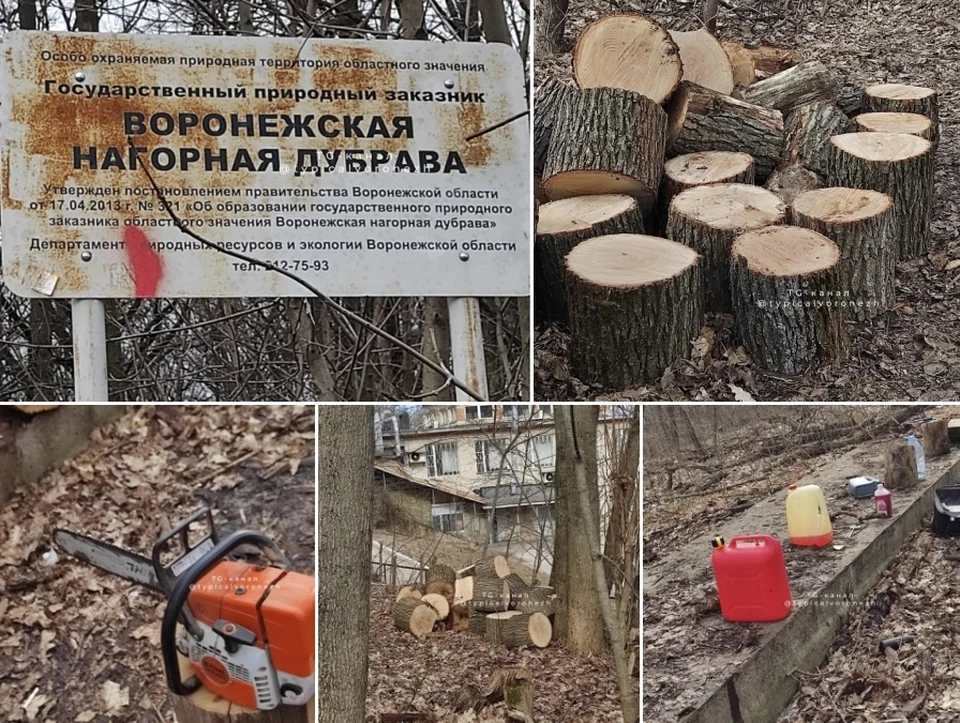 скриншот из телеграмм-канала "Типичный Воронеж"
