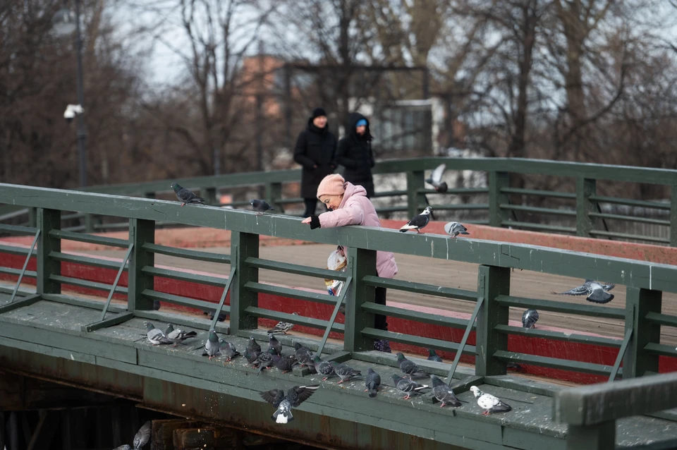 Тепло до плюс 9 градусов будет в Петербурге 20 марта