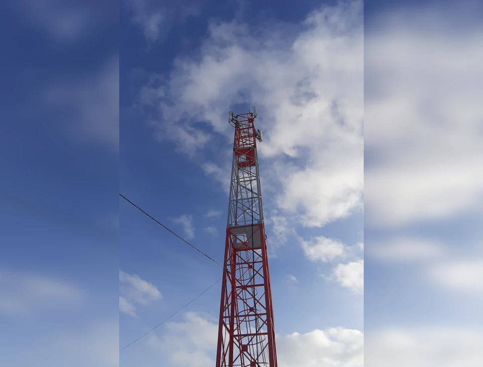 Фото предоставлено компанией МегаФон
