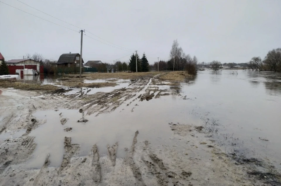 В МЧС сообщили данные о подтоплении в Гагаринском районе Смоленской области. Фото: пресс-служба ГУ МЧС по Смоленской области.