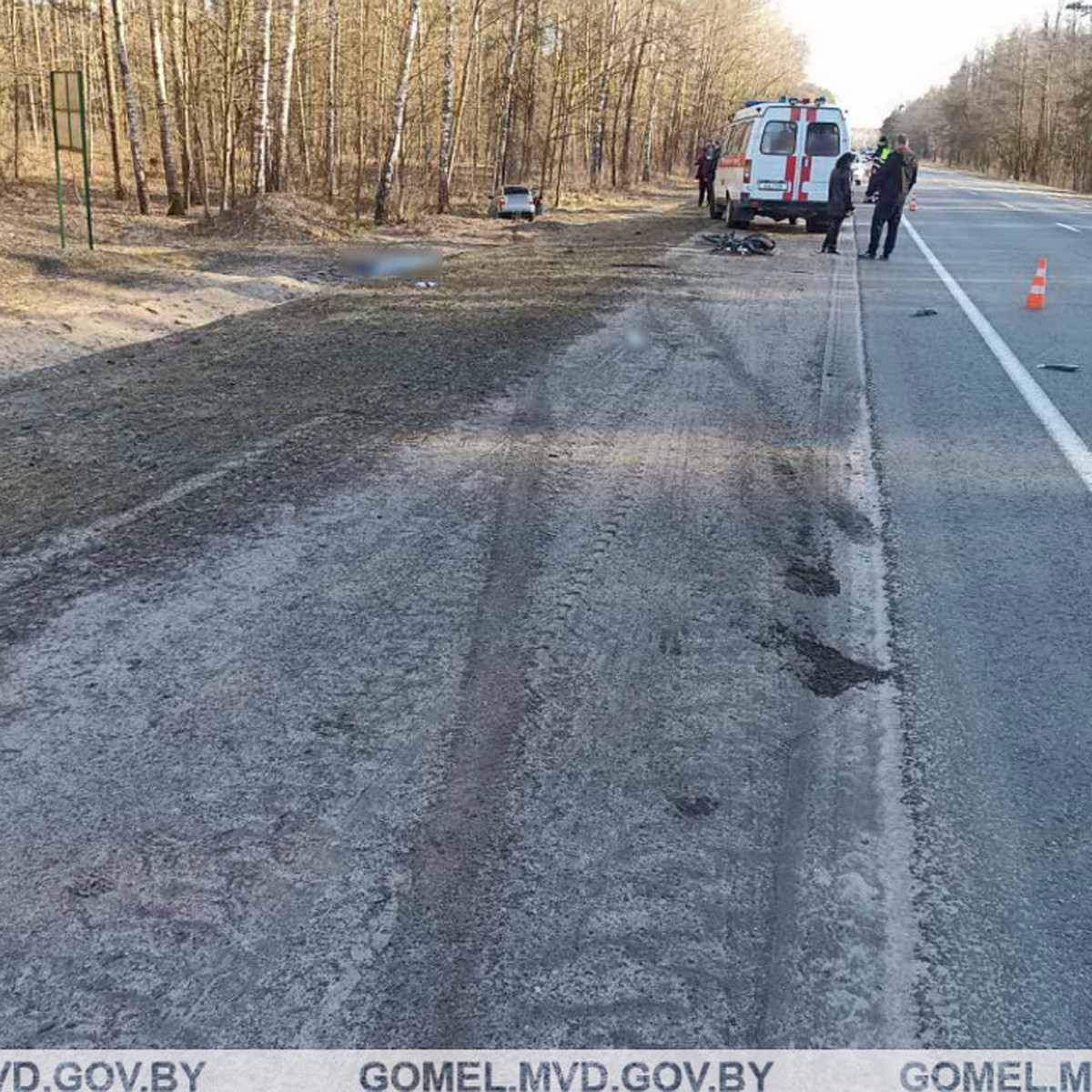 Под Гомелем водитель легковушки потерял сознание и насмерть сбил 57-летнего  велосипедиста - KP.RU