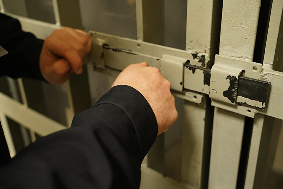 Мужчину приговорили к трем годам и двум месяцам колонии общего режима