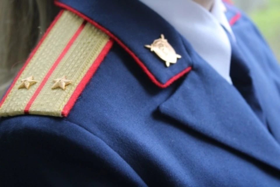 В Ярославле 59-летнему мужчине дали семь лет за убийство соседа