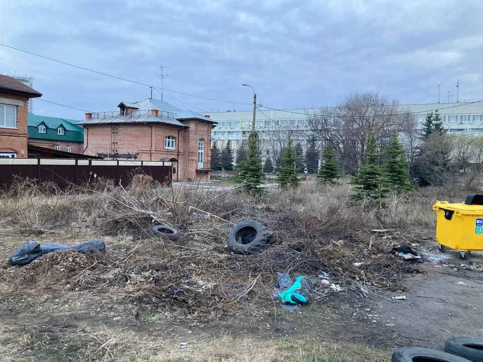 Фото: тг-канал Симбирский шугожор