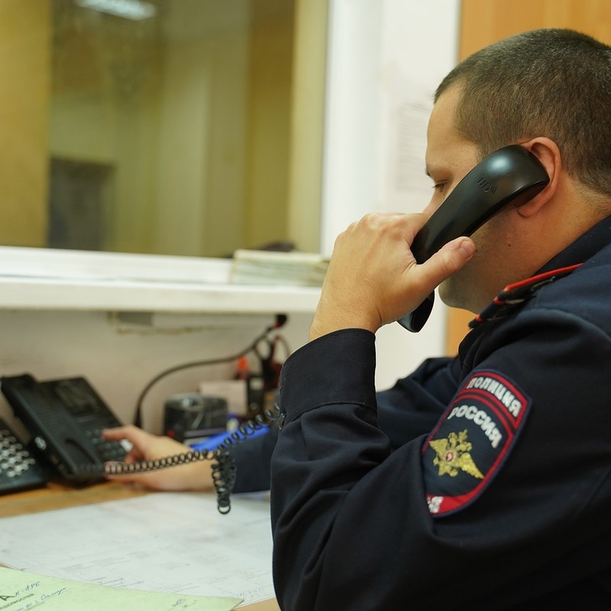 Полиция начала проверку из-за драки трех школьниц в парке в Самарской  области - KP.RU