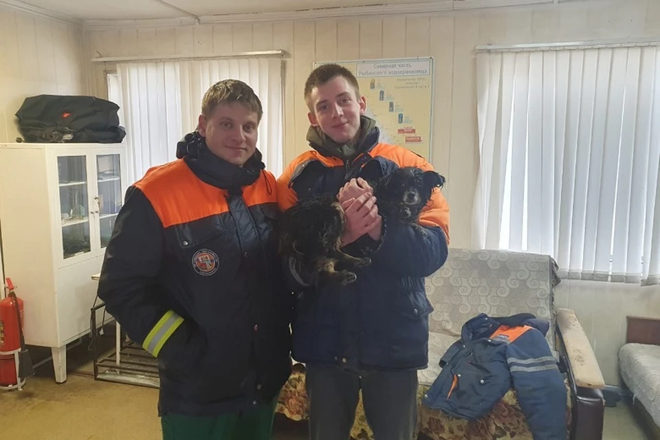 Фото: спасательная служба Череповца