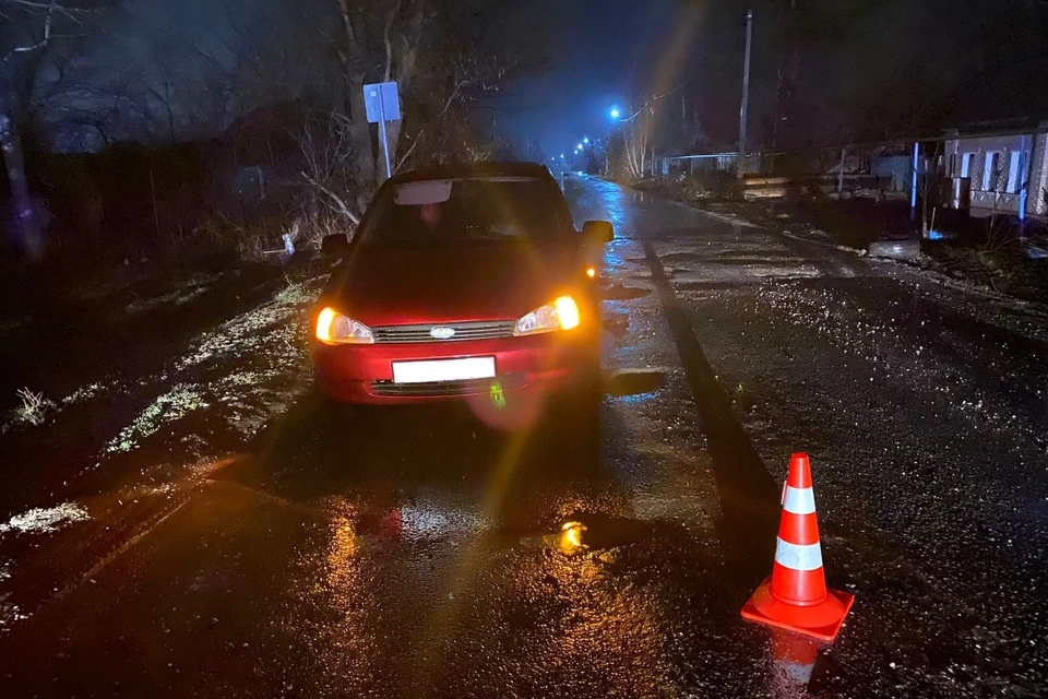 Житель Шацка угодил под колеса автомобиля вечером 30 марта. Фото: пресс-служба УМВД по Рязанской области.