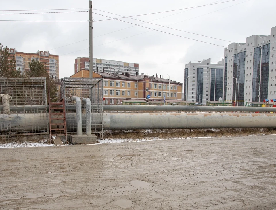 Фото: пресс-служба администрации Благовещенска