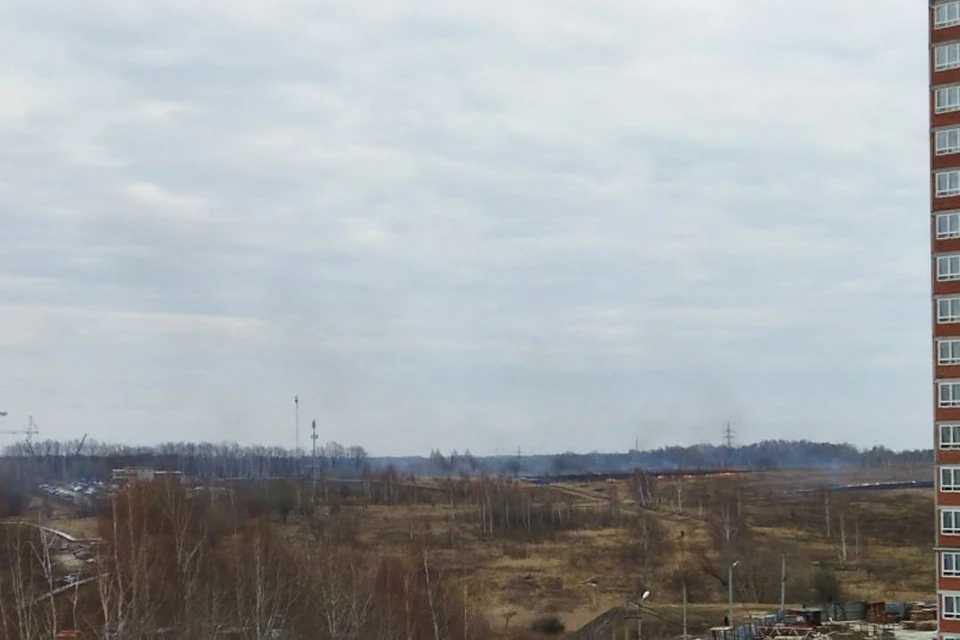 Вблизи густонаселенного района Рязани на нескольких гектарах горит трава. Фото: vk.com/ryazanformat